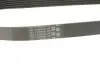 Поліклиновий ремінь 6PK691 ELAST Contitech 6PK691ELAST (фото 3)