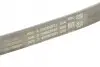 Ремень поликлиновой Contitech 4PK753ELAST (фото 3)