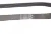 Ремень поликлиновой Contitech 6PK873ELAST (фото 3)