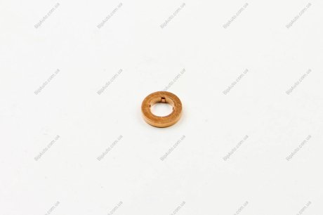 Кольцо уплотнительное BOSCH F00VC17505 (фото 1)