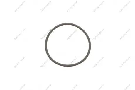 Уплотнительное кольцо BOSCH F00HN35932 (фото 1)
