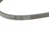 Пас поліклиновий Mazda 626 1.8-2.2 86-96/Opel Kade CONTINENTAL Contitech 5PK1010 (фото 3)