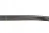 Пас поліклиновий Mitsubishi Lancer/Galant 1.3-2.0 CONTINENTAL Contitech 5PK1060 (фото 2)