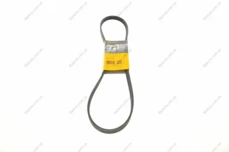 Ремень поликлиновой Contitech 5PK1135
