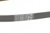 Ремень поликлиновой Contitech 5PK1212 (фото 3)