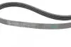 Пас поліклиновий VW Passat B5/Audi A4/A6 1.6/1.8/2 CONTINENTAL Contitech 5PK1300 (фото 3)