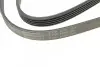 Пас поліклиновий Mitsubishi Galant 2.0/2.4 GDI 96- CONTINENTAL Contitech 5PK1330 (фото 4)