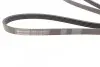 Пас поліклиновий Opel Zafira/Astra 1.6/1.8 05-15/F CONTINENTAL Contitech 5PK1546 (фото 2)