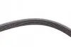 Пас поліклиновий Opel Zafira/Astra 1.6/1.8 05-15/F CONTINENTAL Contitech 5PK1546 (фото 3)