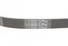 Пас поліклиновий VW Golf III/Passat/Caddy 1.9/2.0T CONTINENTAL Contitech 6PK1050 (фото 3)