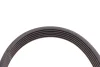 Пас поліклиновий Citroen Jumper/Fiat Ducato 2.0/2. CONTINENTAL Contitech 6PK1173 (фото 4)