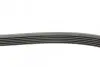 Пас поліклиновий BMW 3 (E36) 3.0/3.2 94-99/Mitsubi CONTINENTAL Contitech 6PK1515 (фото 2)