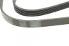 Пас поліклиновий BMW 3 (E36) 3.0/3.2 94-99/Mitsubi CONTINENTAL Contitech 6PK1515 (фото 3)