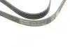 Пас поліклиновий BMW 3 (E36) 3.0/3.2 94-99/Mitsubi CONTINENTAL Contitech 6PK1515 (фото 4)