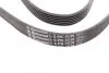 Пас поліклиновий VW Golf 1.6FSI 02-06/BMW 3 (E46)/ CONTINENTAL Contitech 6PK1538 (фото 2)