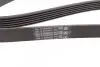 Пас поліклиновий VW Golf 1.6FSI 02-06/BMW 3 (E46)/ CONTINENTAL Contitech 6PK1538 (фото 3)