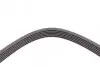 Пас поліклиновий VW Golf 1.6FSI 02-06/BMW 3 (E46)/ CONTINENTAL Contitech 6PK1538 (фото 4)