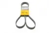 Ремень поликлиновой 6PK1660 CONTITECH