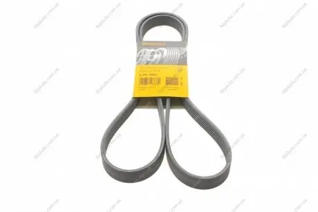 Пас поліклиновий Fiat Scudo/Citroen Berlingo/VW Go CONTINENTAL Contitech 6PK1660