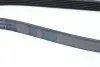Ремінь поликлиновый (Ви-во) Contitech 6PK1675 (фото 3)