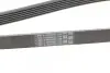 Пас поліклиновий Citroen Berlingo 1.9D (1868) CONTINENTAL Contitech 6PK1680 (фото 4)