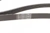 Пас поліклиновий VW Golf IV/Passat 1.4/1.6FSI 03-1 CONTINENTAL Contitech 6PK1733 (фото 2)