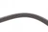 Пас поліклиновий VW Golf IV/Passat 1.4/1.6FSI 03-1 CONTINENTAL Contitech 6PK1733 (фото 4)