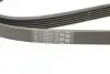Доріжковий пас Contitech 6PK1740 (фото 4)
