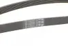 Пас поліклиновий Audi A4/A6/A8 2.4/2.6/2.8 95- CONTINENTAL Contitech 6PK1880 (фото 3)