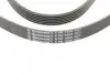 Пас поліклиновий Audi A4/A6/A8 2.4/2.6/2.8 95- CONTINENTAL Contitech 6PK1880 (фото 4)