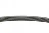Пас поліклиновий VW T4 2.0i 91-03/Opel Vectra 2.2 CONTINENTAL Contitech 6PK1900 (фото 2)