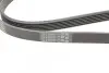 Пас поліклиновий VW T4 2.0i 91-03/Opel Vectra 2.2 CONTINENTAL Contitech 6PK1900 (фото 3)