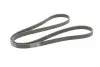 Пас поліклиновий VW T4 2.0i 91-03/Opel Vectra 2.2 CONTINENTAL Contitech 6PK1900 (фото 5)