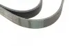Пас поліклиновий VW LT 2.5TDI 96-06/Jeep Cherokee/ CONTINENTAL Contitech 6PK2145 (фото 3)
