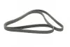 Пас поліклиновий VW LT 2.5TDI 96-06/Jeep Cherokee/ CONTINENTAL Contitech 6PK2145 (фото 5)