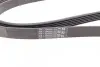 Пас поліклиновий MB W202/211 2.0/2.2/2.7CDI CONTINENTAL Contitech 6PK2241 (фото 3)
