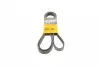 Доріжковий пас CONTITECH 6PK2155