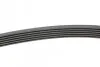 Пас поліклиновий VW T4 2.5TDI/LT 2.3 96-06/MB C-cl CONTINENTAL Contitech 6PK2215 (фото 2)
