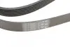 Пас поліклиновий VW T4 2.5TDI/LT 2.3 96-06/MB C-cl CONTINENTAL Contitech 6PK2215 (фото 3)