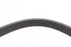 Пас поліклиновий Mazda 2/3 1.3-1.6 07-/Toyota Coro CONTINENTAL Contitech 6PK1840 (фото 4)