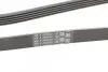 Пас поліклиновий BMW 3 (E46)/5 (E39)/7 (E38)/X5 (E CONTINENTAL Contitech 5PK2060 (фото 3)