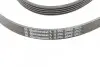 Пас поліклиновий BMW 3 (E46)/5 (E39)/7 (E38)/X5 (E CONTINENTAL Contitech 5PK2060 (фото 4)