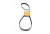 Пас поліклиновий CONTINENTAL 6PK1230