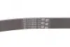 Пас поліклиновий CONTINENTAL Contitech 6PK1230 (фото 2)
