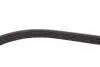 Пас поліклиновий CONTINENTAL Contitech 6PK1230 (фото 4)