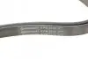 Ремень поликлиновой Contitech 6PK2330 (фото 4)