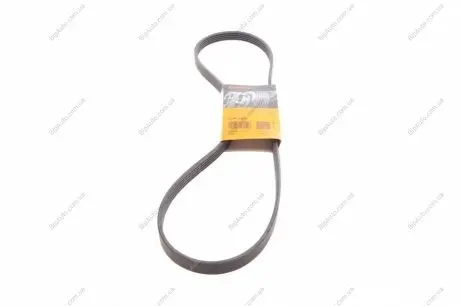 Пас поліклиновий CONTINENTAL Contitech 5PK1240