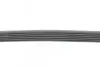 Пас поліклиновий VW T5/Golf 2.3-3.2 V6 03-09/Audi CONTINENTAL Contitech 6PK1264 (фото 2)
