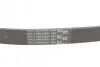 Пас поліклиновий VW T5/Golf 2.3-3.2 V6 03-09/Audi CONTINENTAL Contitech 6PK1264 (фото 3)