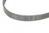 Пас поліклиновий VW T5/Golf 2.3-3.2 V6 03-09/Audi CONTINENTAL Contitech 6PK1264 (фото 4)